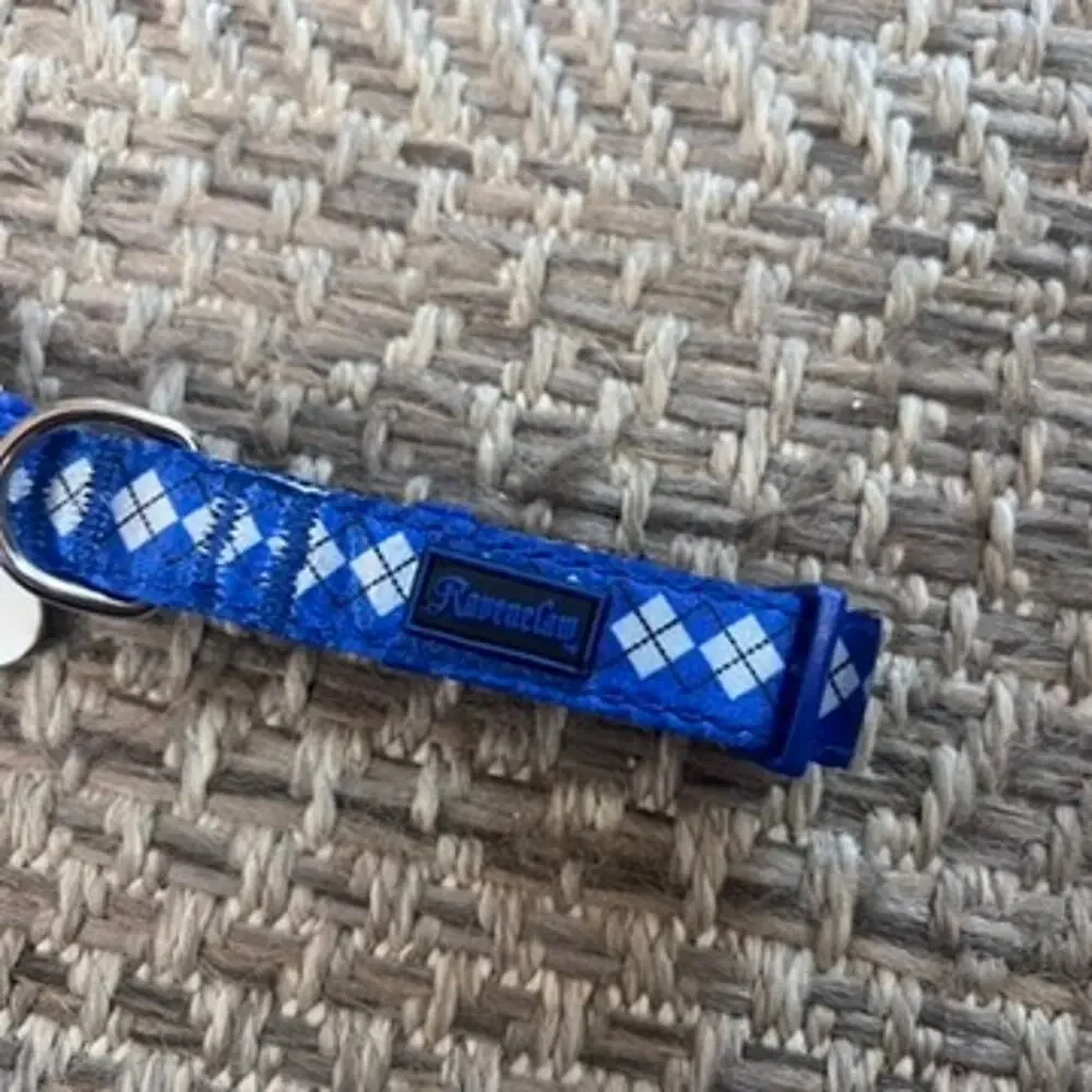 Harry Potter Small Pet Collar Sz Small